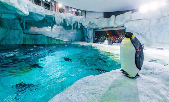 Chimelong Ocean Kingdom Park